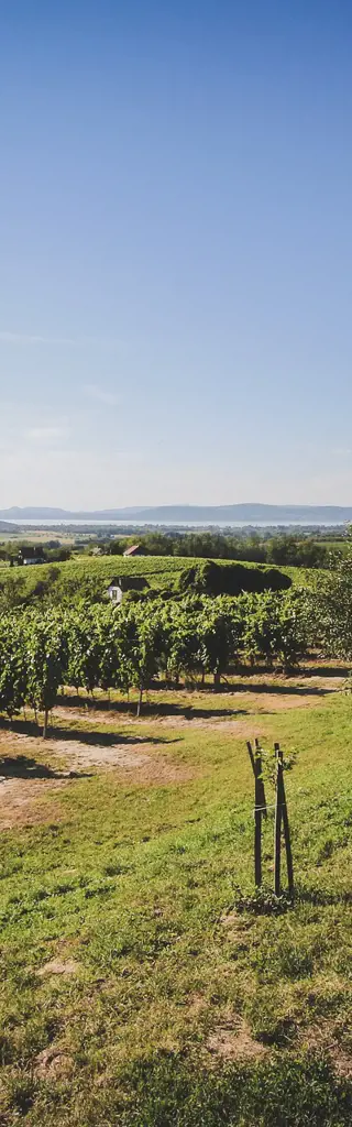 Mietwagenrundreise «Gourmet und Wein» in Ungarn